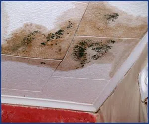 Homestead Restoration Company Homestead, FL 786-292-9740 - city-page-water-leak
