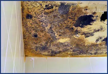 Homestead Restoration Company Homestead, FL 786-292-9740 - cont-img-water-damage