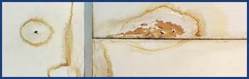 logo-image - sm-bnr-water-damage